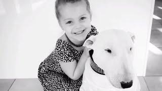 Little girl and doggy best friend share special relationship