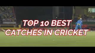 TOP 10 BEST CATCHES IN CRICKET HISTORY || 2019|| MUST WATCH !!