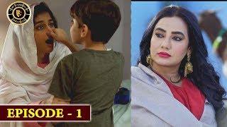 Damsa Episode 1 |  Nadia Jamil & Shahood Alvi | Top Pakistani Drama