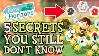 Animal Crossing New Horizons: 5 SECRET DETAILS You STILL Don't Know (Fun ACNH Tips You Should Know)