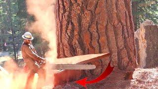 TOP 10 Extremely Dangerous Tree Felling Fails With Chainsaw ! Idiots Tree Cutting Down Skills