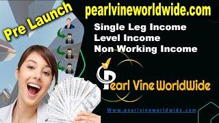 Pearlvine World Wide New Mlm Plan Launch Today 2019 | Best Mlm Company Business in india, Mlm Review