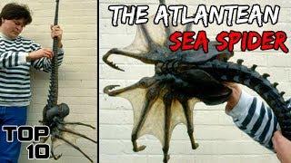 Top 10 Scary Biggest Insects Ever Found