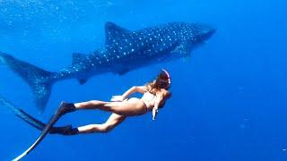 DEEP BLUE CLEAR WATER FREEDIVING Whale Shark & Tiger Shark CAMPING With My Brother (Part 3) - Ep 187