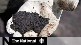 Government faces dilemma over new oilsands project