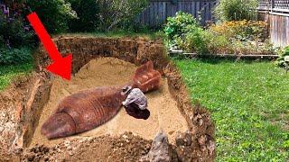 Top 11 CRAZIEST Things People Found In Their Backyard!