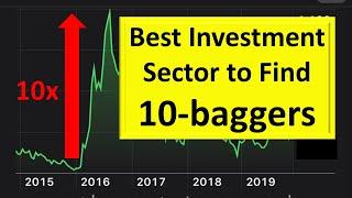 Looking for 10-baggers? Check Out This Investment Sector