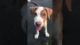WATCH TIL the END 