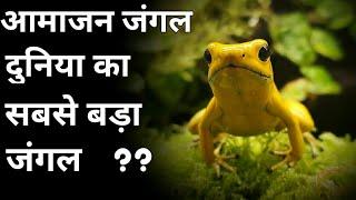 AMAZON forest की top 10 facts / आमाजन जंगल के बारेमे Top 10 facts / lolly facts 2