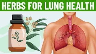 Top 10 Herbs For Lung Health (Clearing Mucus, Allergens, Toxins & Viruses)