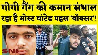 Rohini Court Shootout: Gogi Gang की कमान Most Wanted Pehal 'Boxer' के पास | Deepak Pehal | Rohit Moi