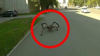 15 Scary Videos That No One Expected