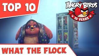 TOP 10 | What The Flock Moments