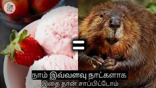 நாம் இவ்வளவு நாட்களாக இதை தான் சாப்பிட்டு கொண்டிருந்தோம் | Smart Top 10