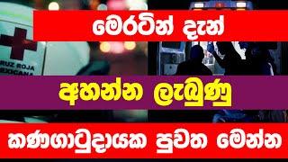 Sri Lanka among top 10 countries with best response to COVID-19 pandemic | MY TV SRI LANKA