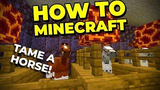 Tame the BEST Horse - How To Minecraft #36