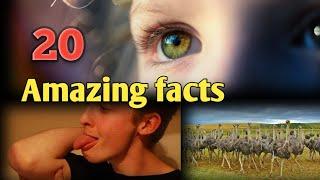 Top 10 fact video