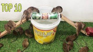 Top 10 Idea Mouse Trap | Best Electric Mouse/Rat Trap | The best video I've ever seen - Bin mice