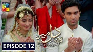 Ye Dil Mera Episode 12 HUM TV Drama 15 January 2020