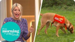 Can Dogs Detect Coronavirus? | This Morning