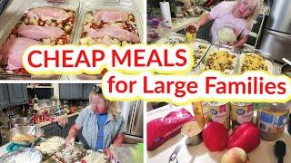 CHEAP MEALS for LARGE FAMILIES | 10 Frugal FREEZER MEALS and 3 EASY Casserole Recipes!