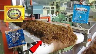 फैक्ट्री में पान मसाला और तंबाकू कैसे बनता है । Top food industry machines