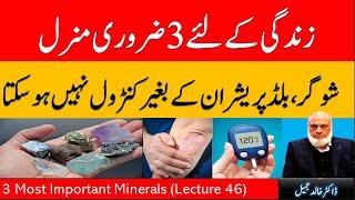 Top 3 Important Minerals for Health  | Lecture 46