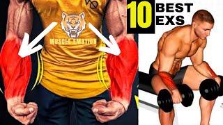 The Perfect Forearm Workout 10 Best Exercises