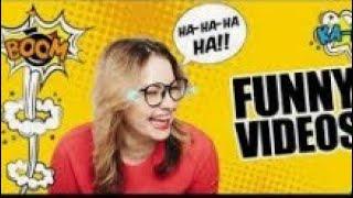 Top funny videos