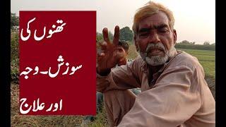 Thanu ki sozish ka ilaj.Goat farming|Goat Farming with Shafiq|Goat Farming In Pakistan.