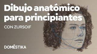 Dibujo anatómico para principiantes – Curso online de Zursoif