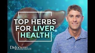 Top 15 Herbs to Support Liver & Gallbladder Health