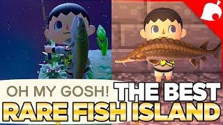 The BEST Rare Fish Island in Animal Crossing New Horizons