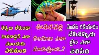 Amazing Facts In Telugu | Unknown Facts In Telugu | Top 10 Real Facts In Telugu