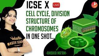 Cell Cycle, Division & Structure of Chromosome in One-Shot | ICSE Class 10 @Vedantu Class 9 & 10