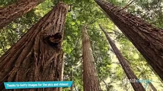 Another Top 10 Most Beautiful Places in The World360p