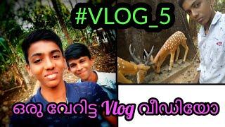 ഒരു വേറിട്ട Vlog വീഡിയോ || By Fuhad || Kuttiyady || #VLOG_5 || An Unexpected Vlog Video