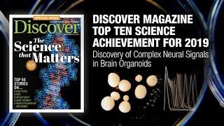 Discover Magazine Top Ten Science Achievement for 2019: Complex Neural Signals in Brain Organoids