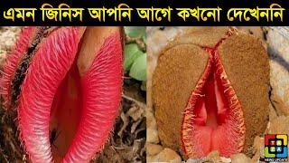 10 Things you will See first Time that will blow your mind in Bangla