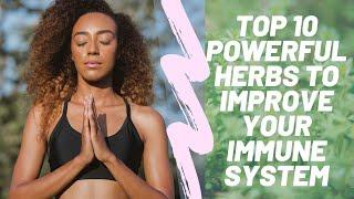 ★ TOP 10 Powerful Herbs To Improve Your Immune System ★