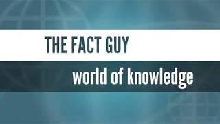 Top 10 facts which will blow your mind