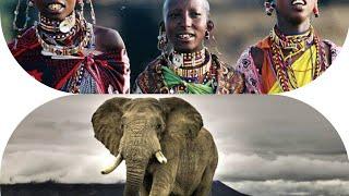 10 Most SUPRISING facts about Africa 