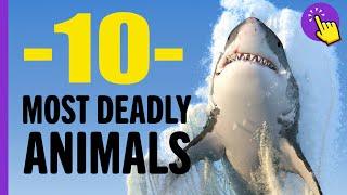 Top 10 Deadly Animals | Keep it in mind