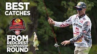 Top Catches from REDCREST Championship Round | MLF REWIND