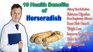 Medically Proven 10 Health Benefits Of Horseradish | 10 Things You Do Not Know