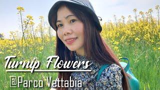 Parco della Vettabbia | Beautiful place to relax | Turnip top farm with beautiful flowers