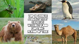 Top 10 unique animals that can live without food for long period of time