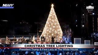 LIGHTING THE HOLIDAY TREE: President Trump gets into Christmas spirit at WH