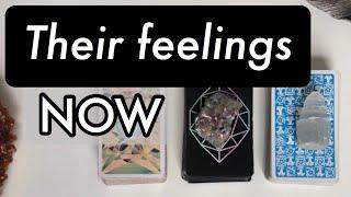 How do they FEEL about YOU right now? Timeless Pick a card tarot reading.