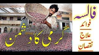 Healthy & Refreshing FALSA | TOP 10 Benefits of FALSA | Best FALSA Sharbat | Karachi Food Street